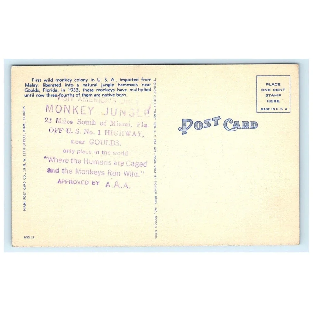 Vintage Postcard Miami Florida Monkey Jungle Zoo Animals Travel‎ USA Linen
